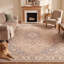 Tapis Meadow traditionnel à médaillon, style persan, gris crème, ivoire, beige, rose, lavable à la machine, antidérapant, à poils courts, pour l'intérieur et l'extérieur, adapté aux animaux domestiques, idéal pour le salon, la chambre, la salle à manger, l'entrée, le couloir ou le bureau.-1582206063