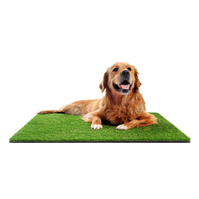 Dakota Fields Outdoor UV Resistant Artificial Grass