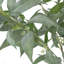 Eucalyptus artificiel en pot-1744484017