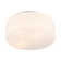 Edgemont 4-Light Ceiling Light