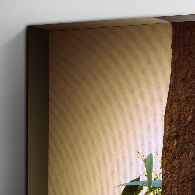 Koala Bear Photographic - Wrapped Canvas, 35cm H x 50cm W
