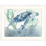 Bouyant Sea Turtle 1 Print