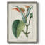 «Turpin Tropical Botanicals II», reproduction encadrée - bois massif-1849439129