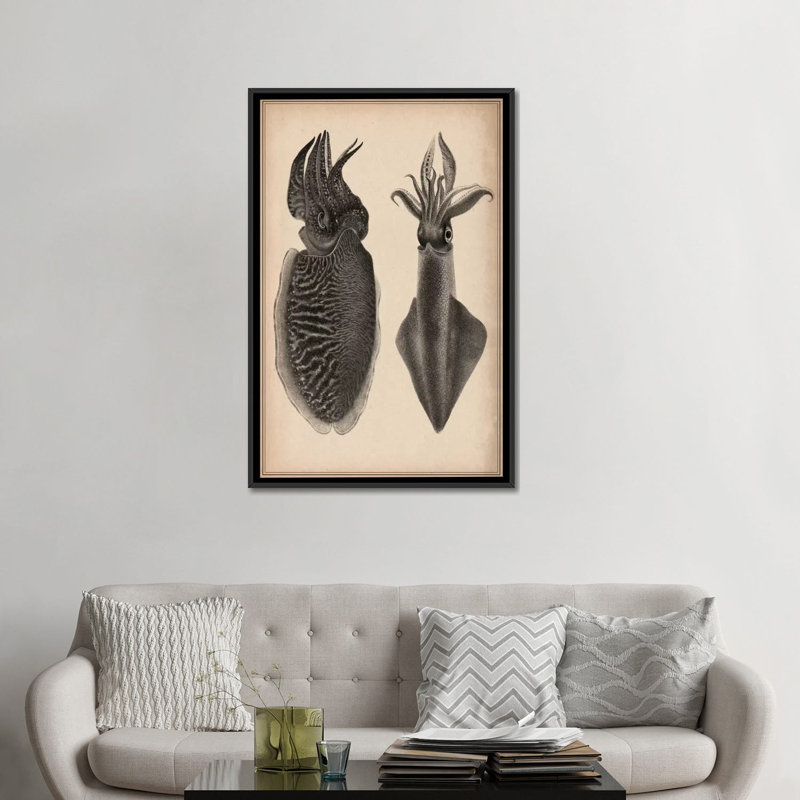 « animal octopus squid scientific », impression sur toile, H 26 po x l 18 po x P 1,5 po, Toile encadrée noire, Aucun mat