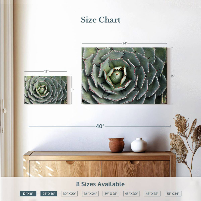 Harnek Thorny Succulent