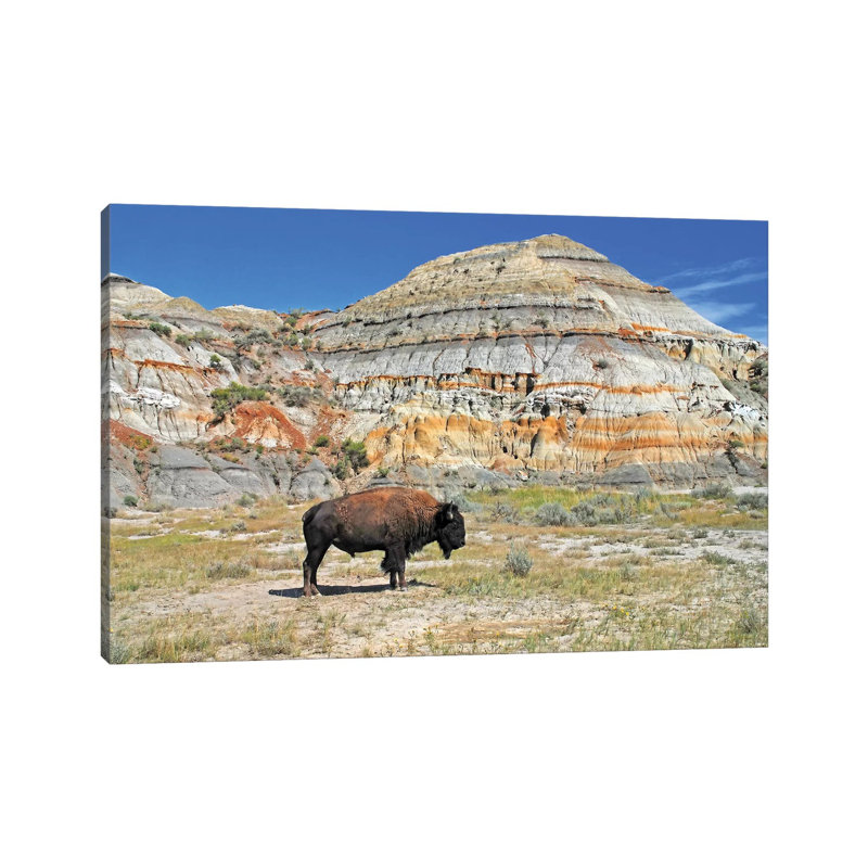 Badlands Bison by Brian Wolf - Wrapped Canvas Print, 20.32cm H x 30.48cm W x 1.91cm D