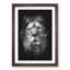 The Proud Lion - Framed Print-56742563-56742564