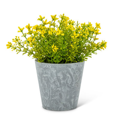 Arrangement floral mixte en pot