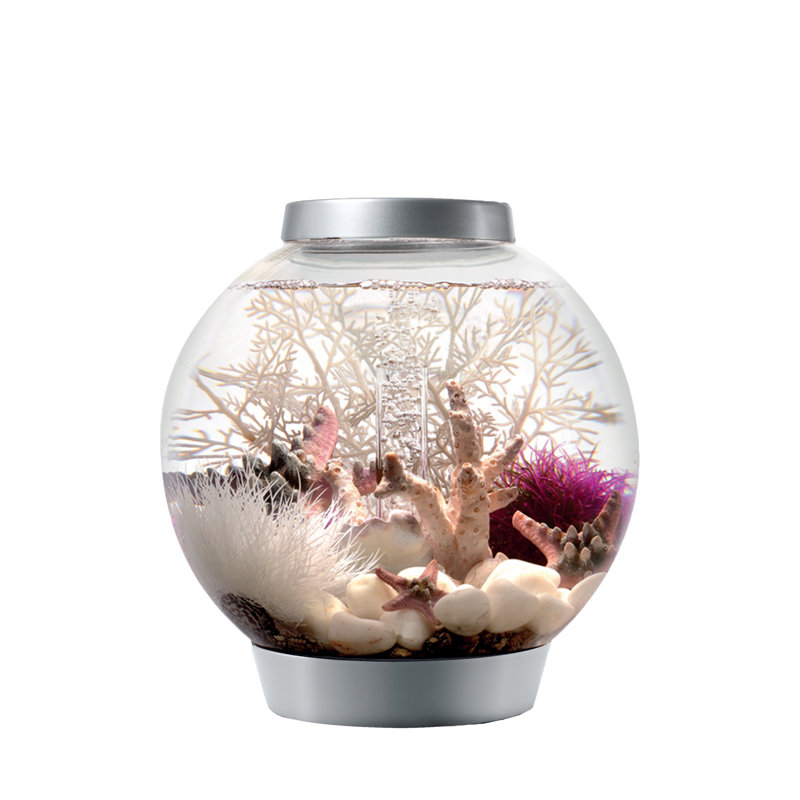 Silver 4-Gallon Acrylic Desktop Aquarium with LED Light