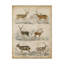 « non-orner les espèces de cerf » non disponible sur toile tendue-33425713