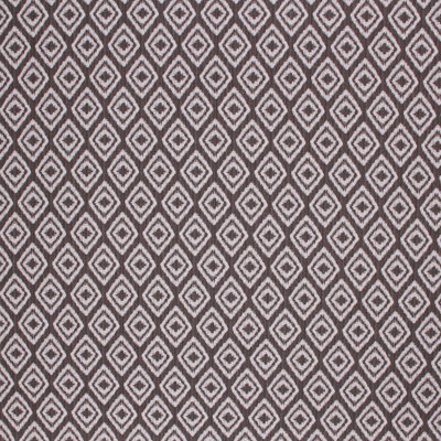 Suite Ikat Fabric