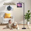  Lampe sur pied Arc Dreamy