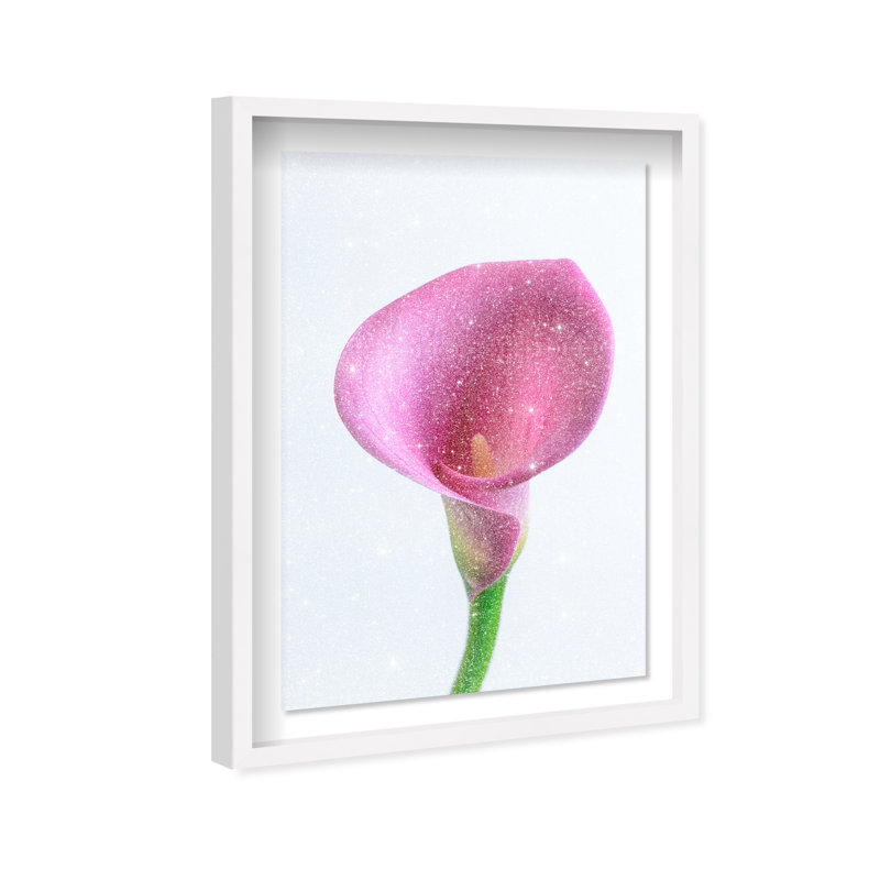 Pink Luminescence I Print by Oliver Gal, 37.5"H x 55.5"W, White Shadowbox