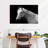 Brampt Horse Headshot-107719608