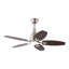 Ventilateur de plafond à 5 pales de 42 pouces avec télécommande et ensemble d'éclairage inclus-673321440