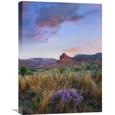 " Caprock Canyons State Park, Texas " by Tim Fitzharris