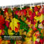 Rideau de douche Bright Autumn-1577429821