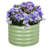 Muffin 16.7" Tall Metal Raised Garden Bed-75187772