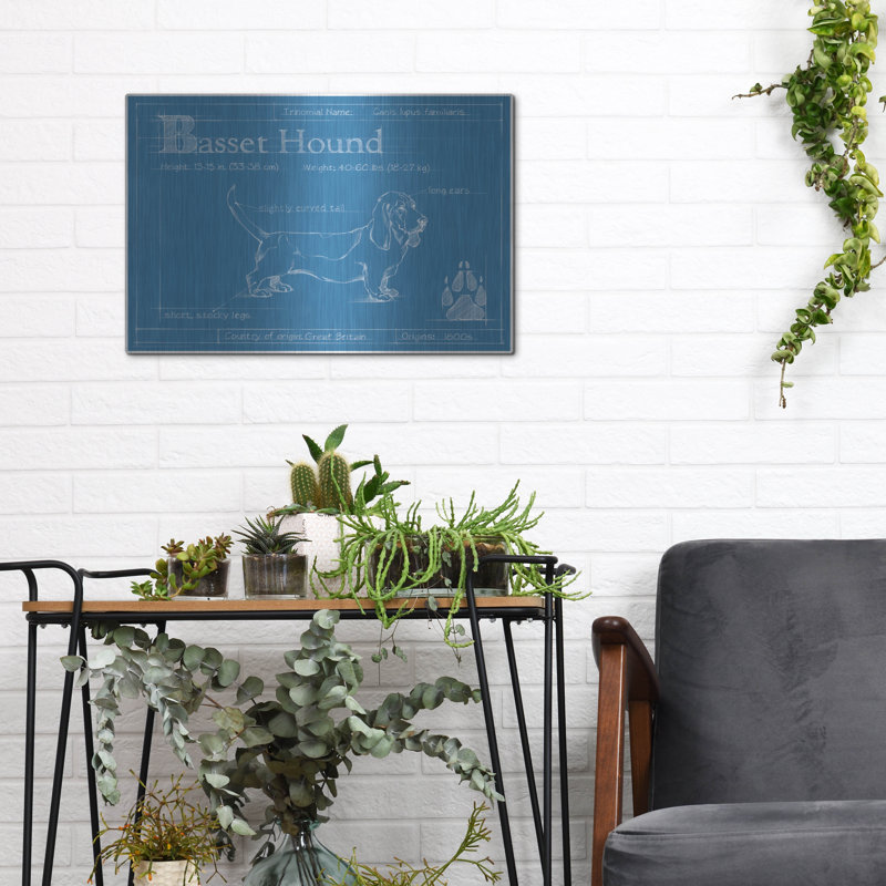 «Blueprint Basset Hound» par Ethan Harper, H 12 po x l 16 po