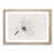 Oak Framed