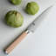 Shun Classic Paring Knife-723902506-723902507