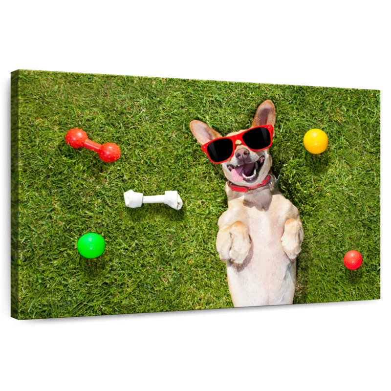 Ketti terrier chihuahua amusant, H 24 po x l 36 po