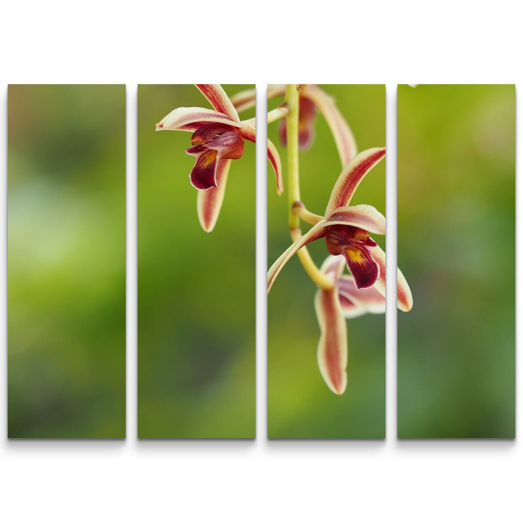 4-tlg. Leinwandbilder-Set Rosa Orchideenrispe