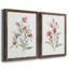 Lin botanique corail III - ensemble de 2 reproductions d'art-11592736-11592764-11592750