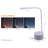 Deann USB Desk Lamp
