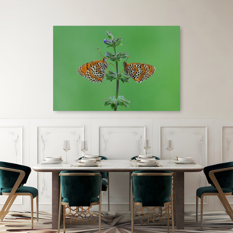 Delicate Butterflies On Bloom Colorful Delicate Butterfly Nature Plant Wall Art Print by Ferah Budak - Print