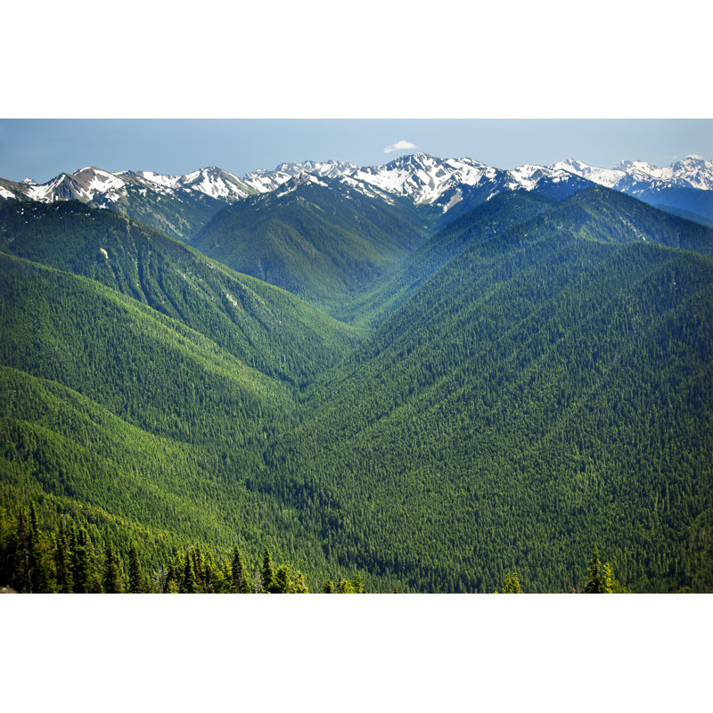 Green Valleys Snow Mountains Hurricane Ridge Olympic National Park Washington - Wrapped Canvas Photograph, 51cm H x 76cm W
