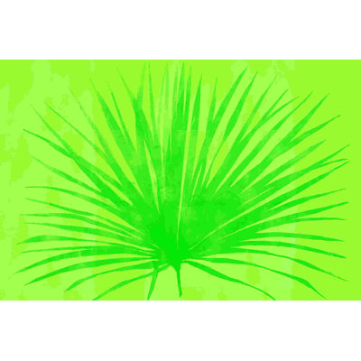 " Tropical Fan "