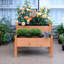 Lit de jardin surélevé en bois-125965183