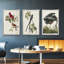 Pl 121 Harfang des neiges 3 pièces-97711758-97711765