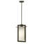 Colfax 1 -Bulb 18.8" H Mains only Outdoor Hanging Lantern-1397779160-1397779161
