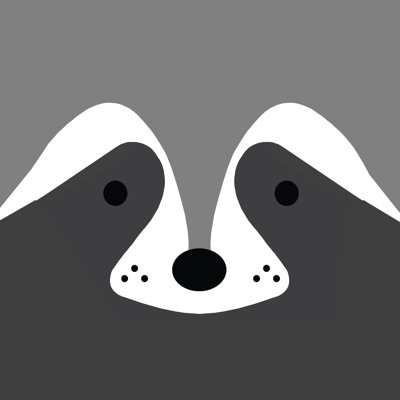 Raccoon Face - Wrapped Canvas Painting