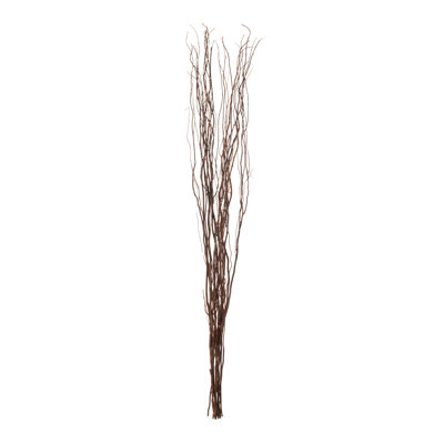 Seaford Willow Branches