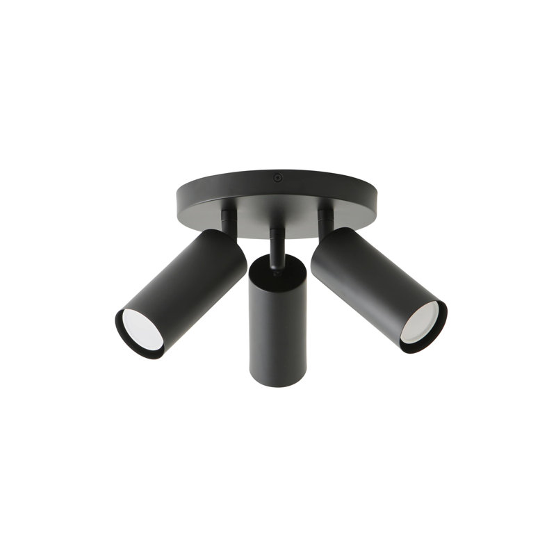 Taylor  Tube Single Adjustable Ceiling Spotlight, Black, 3