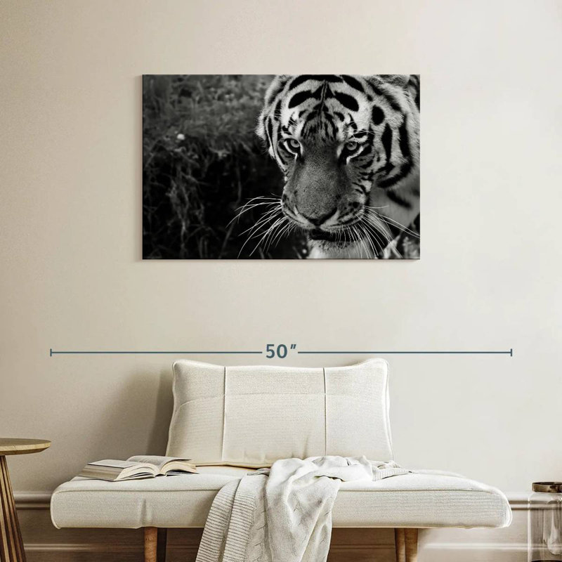 Tigre noir et blanc Brampt, H 24 po x l 36 po