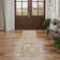 Oriental Indoor Rug