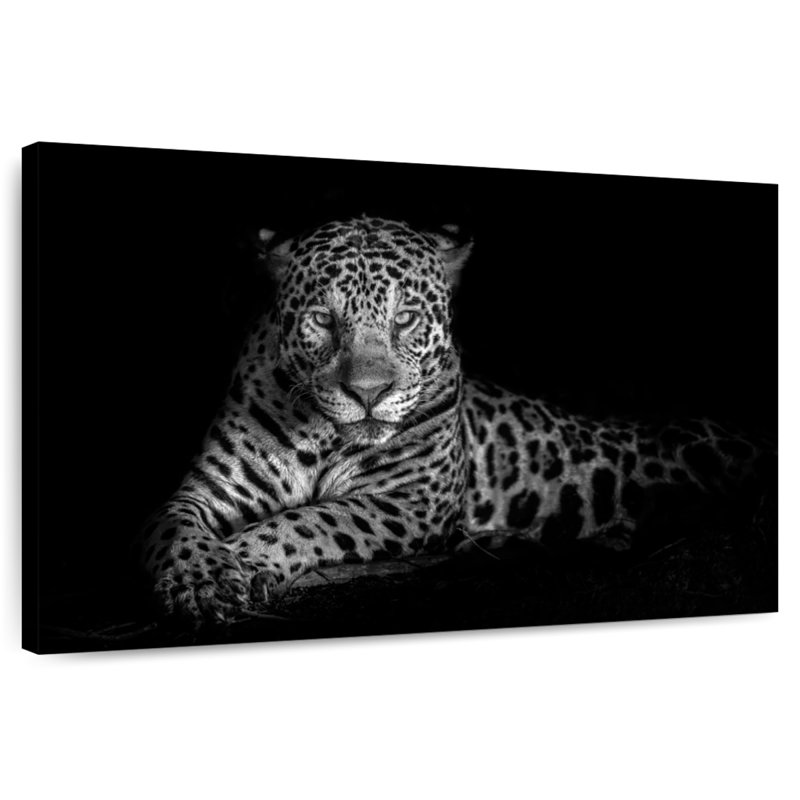 Jaguar aux yeux bleus Brampt, H 8 po x l 12 po