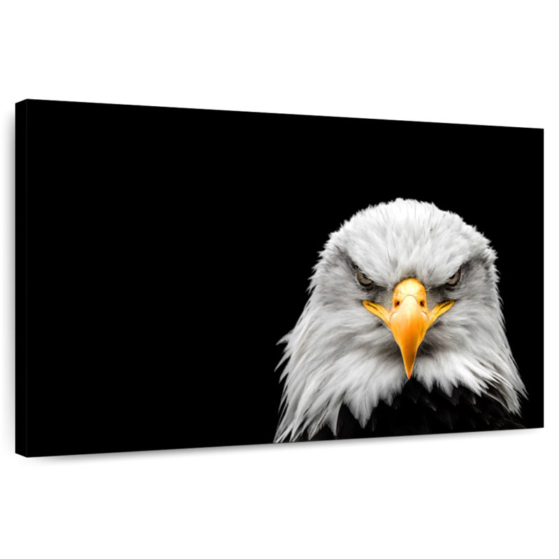 Brampt Angry Bald Eagle, 8" H x 12" W