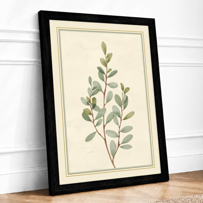 Study Botanical - Framed Print