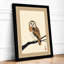 Watchful Barn Owl Japandi - Framed Print-740475673-740475678