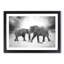 Elephants Crossing Paths - Picture Frame Graphic Art Print-56713195-56713200