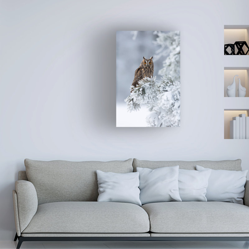 Milan Zygmunt Long Eared Owl Canvas Art, H 19 po x l 12 po