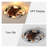 20'' Black Caged Ceiling Fan with Light, Farmhouse Low Profile Ceiling Fan with Remote Control, Modern Enclosed Flush Mount Ceiling Fan with Reversible Motor for Bedroom Living Room Kitchen