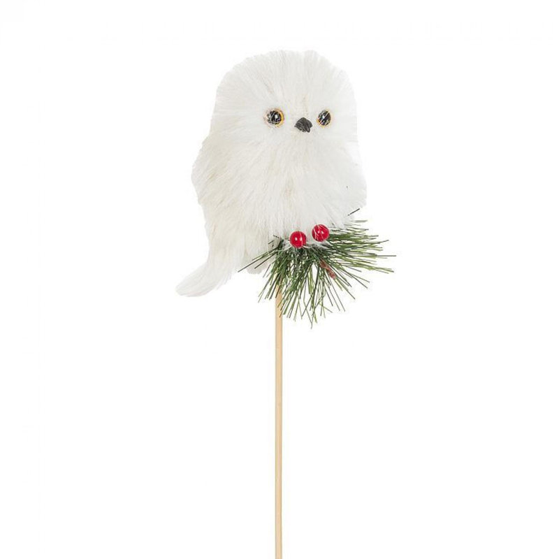 Chouette moelleuse sur un rameau de houx