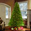 Lighted Artificial Fir Christmas Tree-845459266