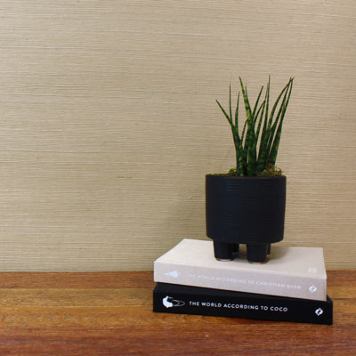 Sisal Monochromatic Authentic Grasscloth Wallpaper